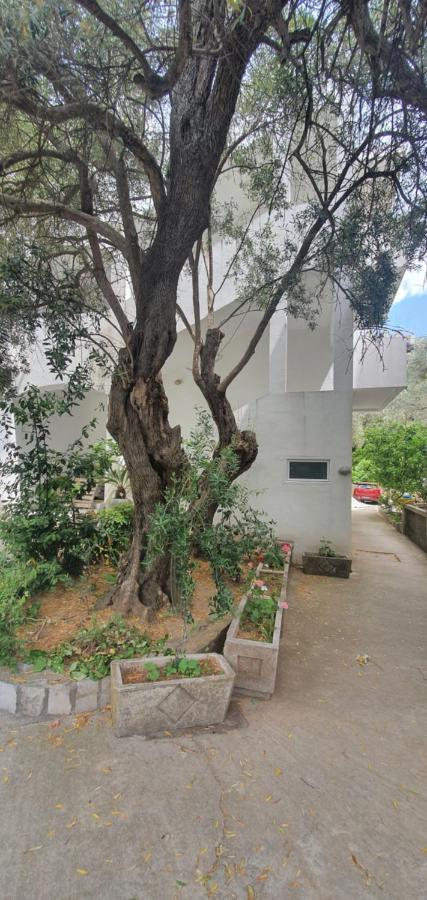 Guest House Mia Becici  Exterior photo